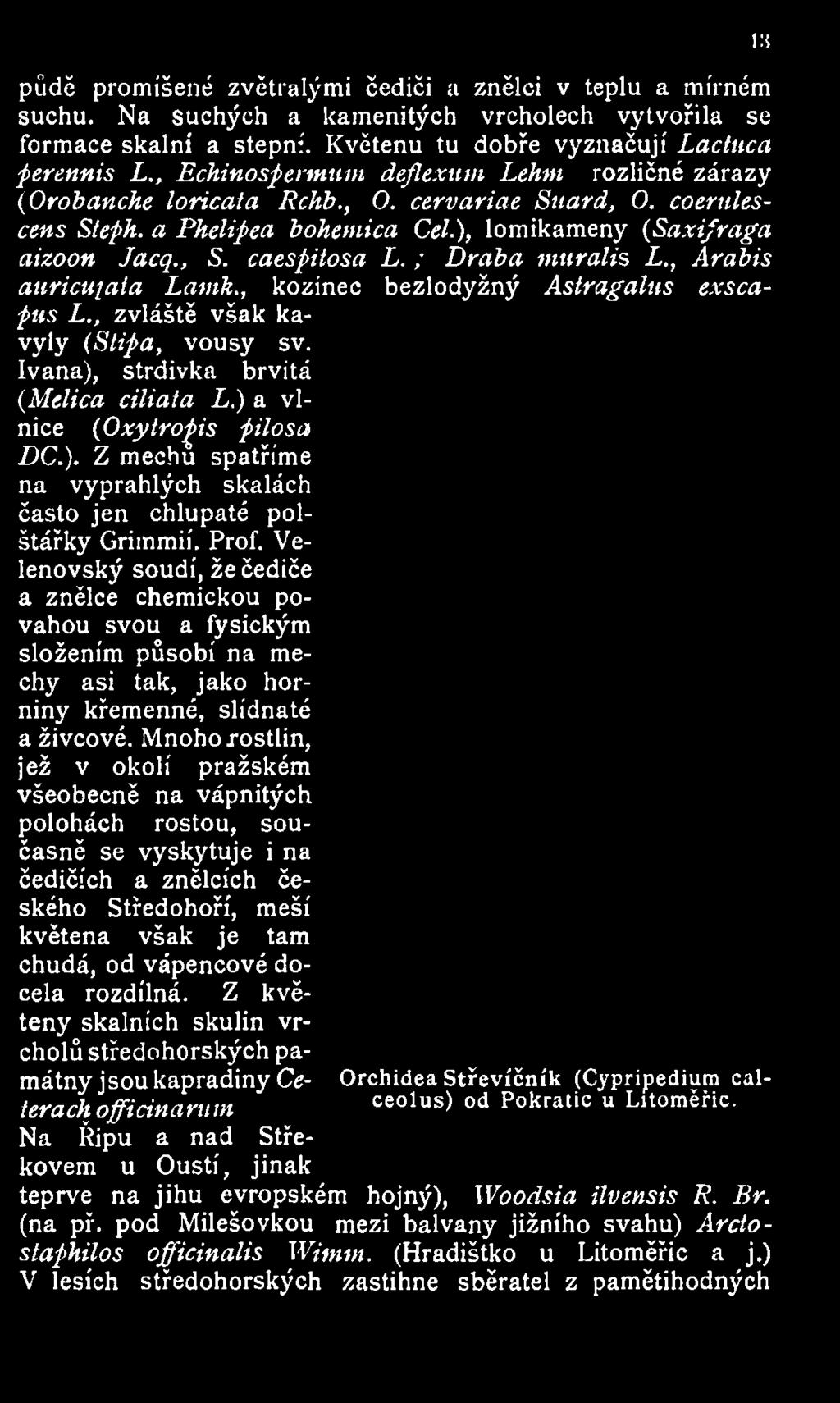 Prof. Velenovský soudí, že čediče a znělce chemickou povahou svou a fysickým složením působí na mechy asi tak, jako horniny křemenné, slídnaté a živcové.