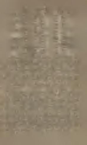 dne východ západ v červnu 1. 3 h. 50 min. 8 h. 16 min. > 10. 3 44 8» 24» 20. 3» 44» 8» 29 * v červci. 1. 3» 48» 8» 29» 10. 3 56» 8» 23»» 20. 4» 9 8 7> 12 v srpnu 1. 4 > 27 7» 54 >» 10.