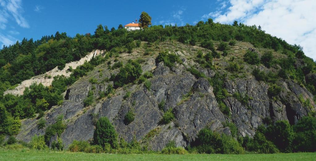 Jabloňka Strmé skalní stěny, tzv. "Černé skály" mezi Pelc-Tyrolkou a vyústěním Trojské ulice do údolí Vltavy. Od stanice metra trasy C Nádraží Holešovice pokračujeme autobusem č. 112 směrem k ZOO.