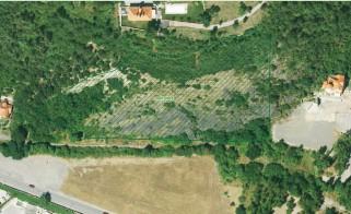 výška vyhláška NVP č. 5/1968 Sb. 1,25 ha 190 260 m Důvod ochrany Při horní hraně skal xerotermní společenstva rostlin. Geologický profil ordovickými vrstvami.