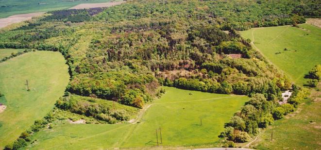 GPS: 50.0866742N, 14.6692111E 0 500 1000 1500 2000 m nových mokřadech a jejich pobřežních pásech je více významných typických druhů brouků. Z motýlů zde žije otakárek fenyklový i ovocný.