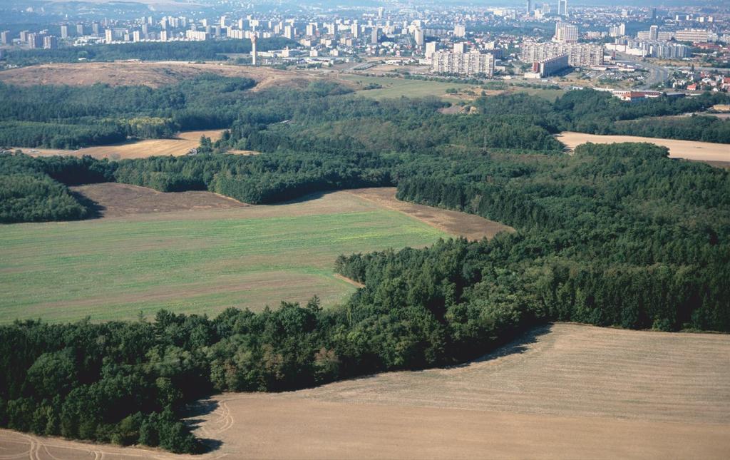 Letecký pohled na Modřanskou rokli z jihovýchodu Zoologie Území dnes představuje významné refugium drobné fauny v příměstské zóně.