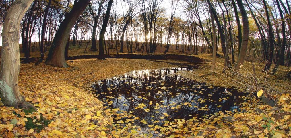 Mýto Na jihu až jihovýchodu obce Nedvězí, přibližně 500 m jižně od silnice Nedvězí Pacov v údolním zářezu potoka Rokytka. Od konečné metra trasy C Háje použijeme autobus č.