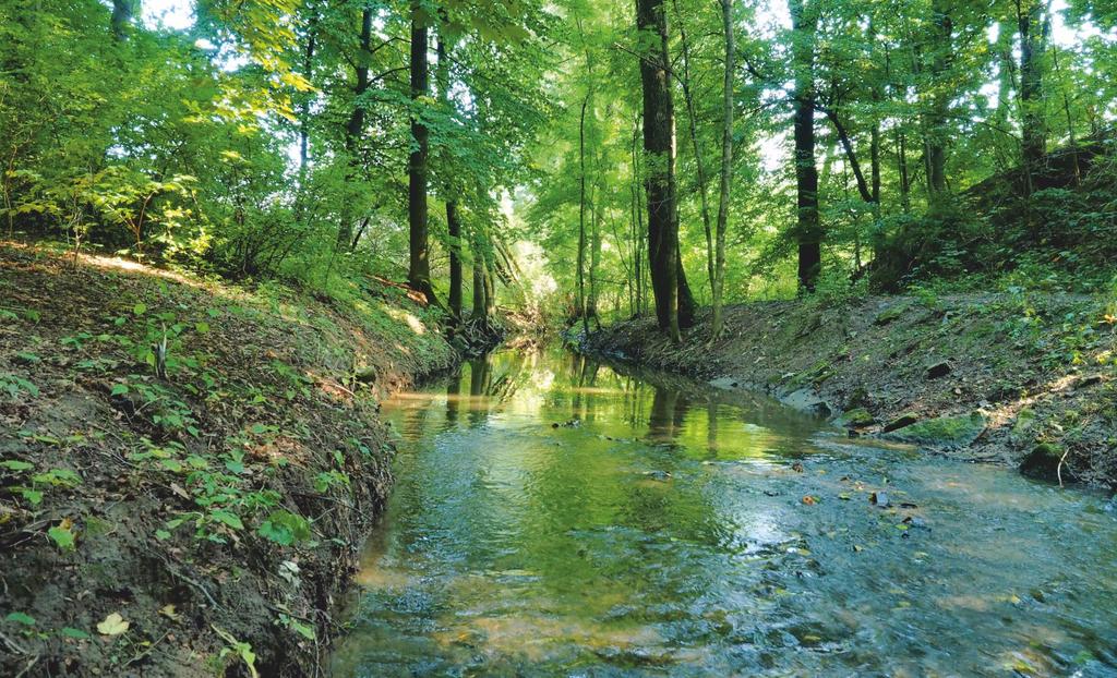 Většinu času je Říčanka vlastně jen trochu větší