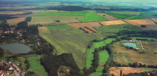 Řevnické křemence libeňského souvrství ordoviku. Křemence jsou lokálně provrásněné a v západní části odkrývá stěna lomu Rohožník M-vrásu (ve tvaru písmene M).
