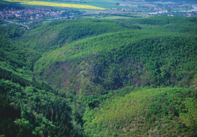 Šance Rozsáhlé lesní porosty severně od hluboce zaříznutého údolí dolního toku Břežanského potoka západně od obce Točná. Vystoupíme z vlaku na trati Praha-Čerčany na zastávce Praha-Zbraslav.