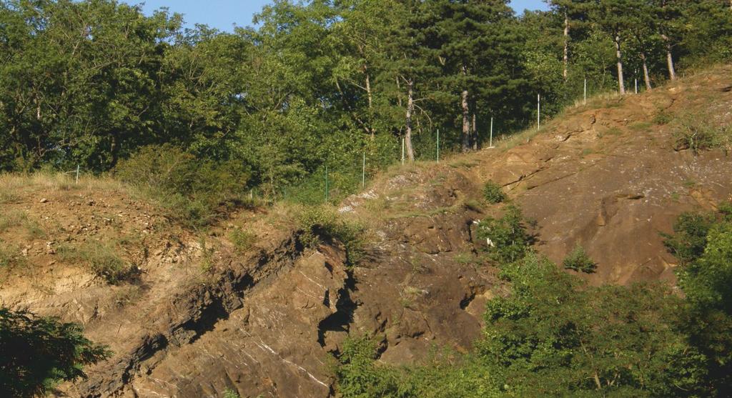 U branického pivovaru Dvě nevelké plochy na výchozech diabasů blíže branického pivovaru v místech, kde odbočuje železnice na most přes Vltavu do Malé Chuchle.