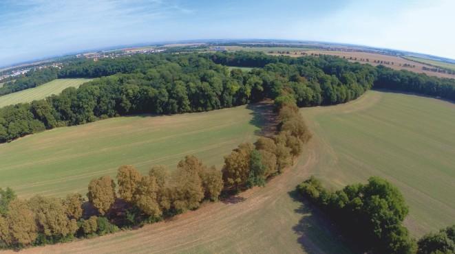 Vinořský park Území jižně od zámečku ve Vinoři s výstupy pramenů, ohraničené pískovcovými skalkami. Od stanice metra trasy C Letňany pojedeme autobusem č. 259 do Vinoře.