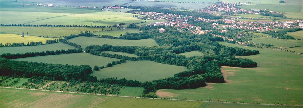 Letecký pohled od jihovýchodu na areál vinořského parku. Park a bažantnice byly založeny v 18. stol. v návaznosti na Vinořský zámek v krajinářském anglickém stylu.
