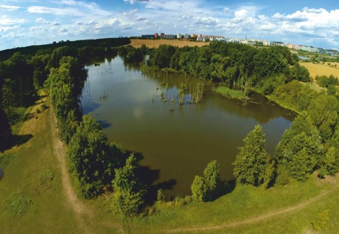 Z dronu zvýšky 50 metrů vidíme celkové obraz chráněného území. Částečně se tu zachovaly mrtvé kmeny stromů, které nesnesly trvalé zatopení.