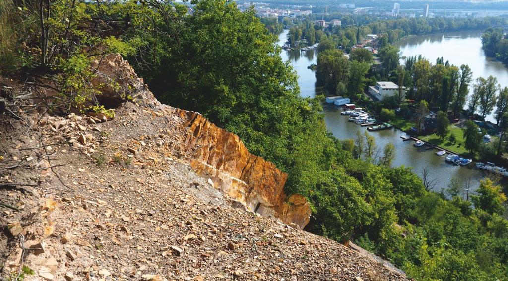 nacházejí mezi portálem tunelu a hranou lomu. Dále na východ navazuje souvrství řevnických křemenců součást libeňského souvrství, jež je nejstarším souvrstvím ordovického stupně beroun.