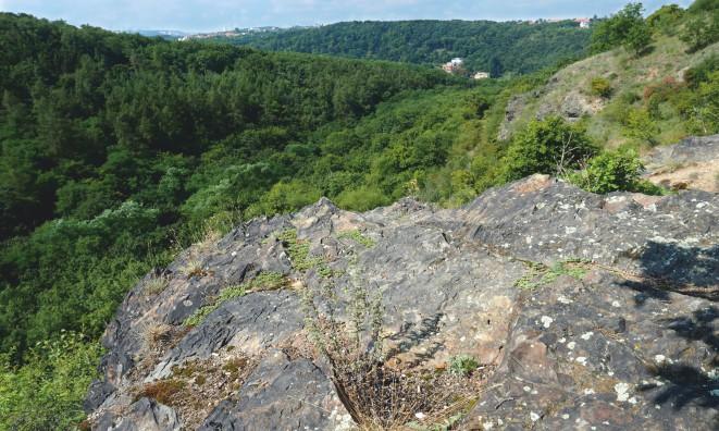 Vpravo od nás se rozkládá chráněné území, kterým prochází řada pěšin. Vzhledem k tomu, že se jedná o strmé údolí, je turistická obuv na místě. Přírodní památka ev. č.