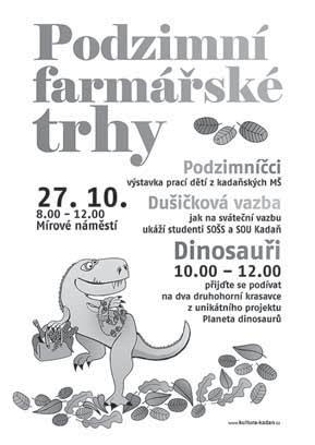 Výsledek dopadl dobře a město může dále s firmou o pozemku jednat. Hokej získal dotaci.