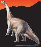 Strana 10 wwwinzertexprescz č 4635 / 15 březen 2010 Muzeum Chvalovice, okr Znojmo POZNEJTE DINOSAURA A VYHRAJTE volnou vstupenku do nově chystaného muzea dinosaurů DINOSAUR WORLD (vyhrává prvních 100