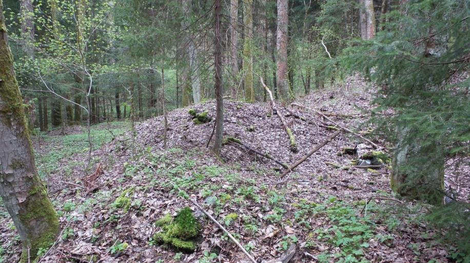 2016 byl mlýn postaven za první republiky a v té době byl zděný a velice moderní s válcovými stolicemi a vertikální Francisovou turbínou. Spád vody byl 11 m.