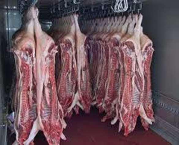 maso - volně v přepravkách Čerstvá drůbež - od 0 do 2 C, nesmí