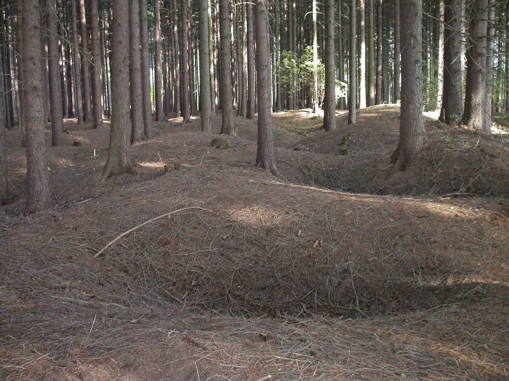 Obr. 37. Záběr z přibližně 300 300 m velkého pole asi 150 pinek (trychtýřovitých jam) v jižní polovině lesního remízku mezi Bezdružicemi, Novou Vsí a Potínem. Foto D.