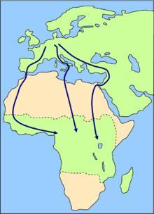3. Migrační trasy Stěhovaví ptáci využívají v Evropě 3 hlavní migrační cesty západoevropskou vedoucí na podzim jihozápadním směrem přes Francii, Španělsko a Gibraltar, východoevropskou, která vede