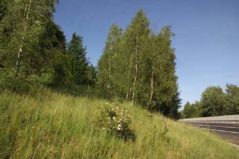 svah vrchu Skalka, průchod obou jižních