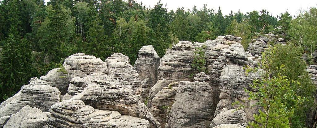 PRACHOVSKÉ SKÁLY Předmětem ochrany je ochrana přírodního prostředí skalního města, lesního ekosystému a volně žijících rostlin a živočichů.