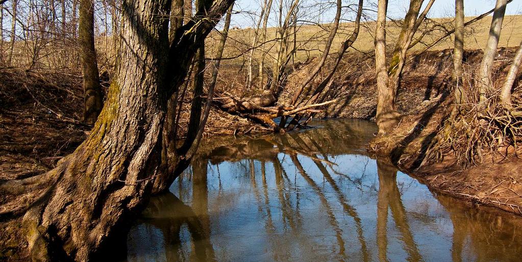 meandry a břehovými porosty jako významného krajinotvorného prvek a také ochrana životního prostředí několika chráněných a ohrožených druhů živočichů CHKO Český ráj. Obr. 8-12.