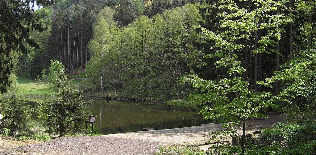 Jedná se o mladopleistocenní údolí ve svrchněkřídových slínech s kvádrovými pískovci v nadloží, lemované sesuvy dle rotačních smykových ploch.