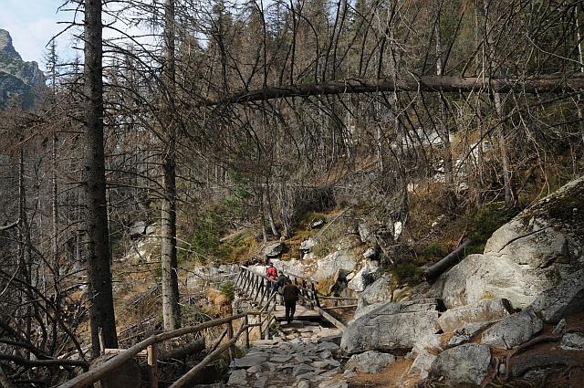 Bezzásahový režim a riziká Environmentalna funkcia Rekreačná funkcia a suché porasty