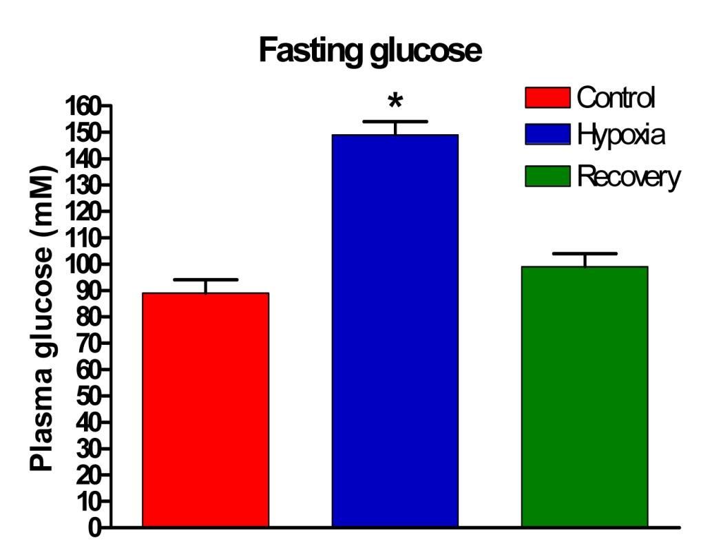 Hyperglykémie po