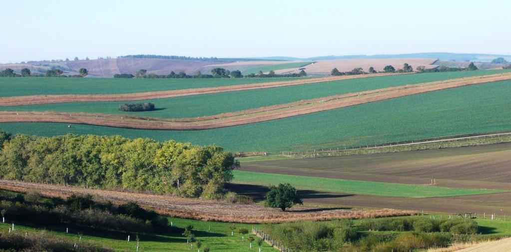 Dobré