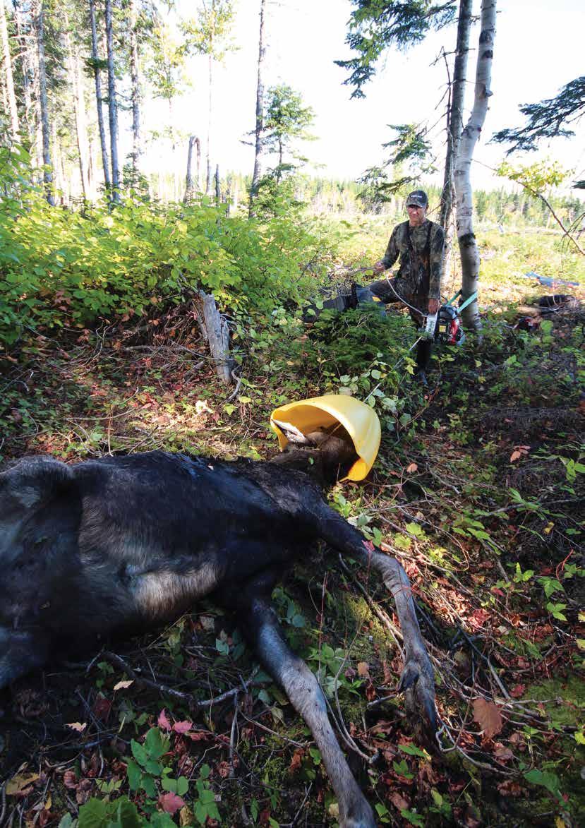 PODEĽTE SA SO SKUTOČNÝMI ĽUĎMI V RÁMCI PORTABLE WINCH CO. Spoznajte nové tipy a triky; Podeľte sa o skúsenosti, fotografie a videá; Diskutujte na našom fóre; Klaďte otázky atď.