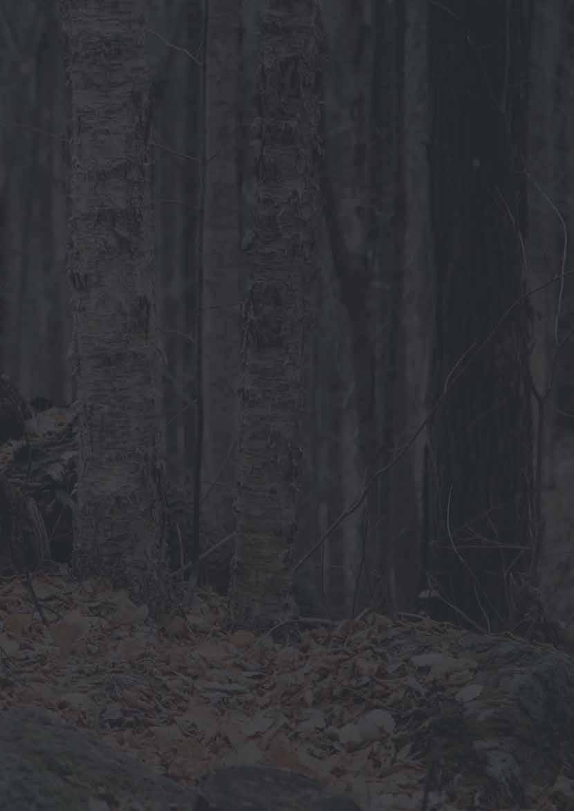 JEDINEČNÉ FUNKCIE PRENOSNÝCH NAVIJAKOV ĽAHKOSŤ A PRENOSNOSŤ VYSOKÝ VÝKON NEZÁVISLOSŤ SPOĽAHLIVOSŤ VÝDRŽ JEDNODUCHOSŤ BEZPEČNOSŤ NEOBMEDZENÁ DĹŽKA LANA SYNTETICKÉ LANO RÝCHLE UPEVNENIE Človek ho