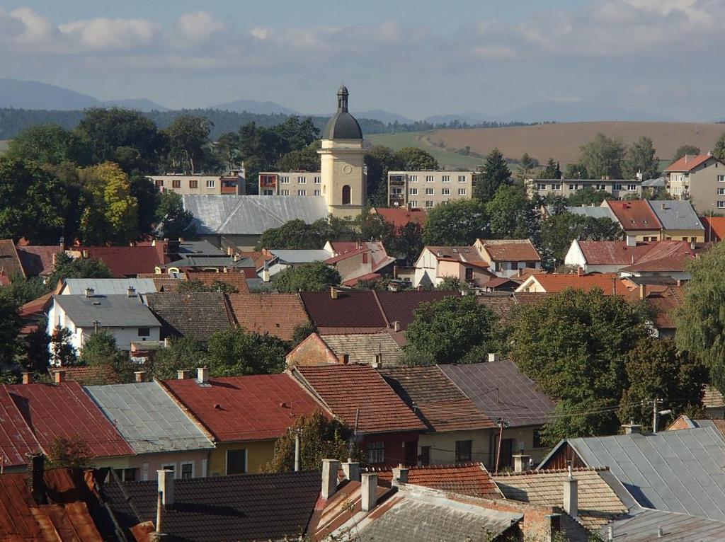 pohľad P1 (b) - detail na strešnú krajinu PZ, Vajanského a Hviezdoslavovej (predtým Malej