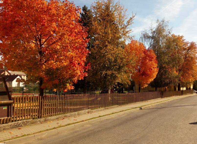 Situace přípojek bude k nahlédnutí na obecním úřadě do pátku 23. 11. 2018. Poté budou přípojky povoleny dle zákresů z obchůzek a změny již nebudou možné.