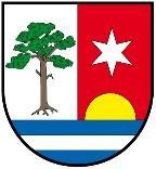 VÝSLEDEK VOLEB DO ZASTUPITELSTVA OBCE BOROVÁ konaných ve dnech 5. 6. 10.