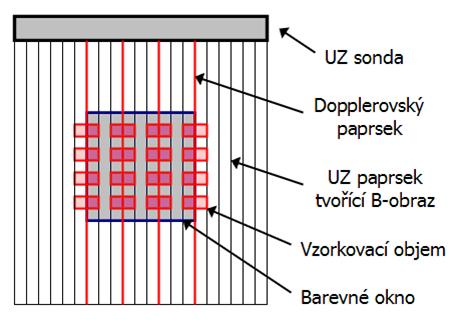 KAPITOLA 2. ULTRAZVUKOVÁ DIAGNOSTIKA 46 Obrázek 2.10: Barevný doppler: Rychlost pohybu je měřena pomocí několika ultrazvukových paprsků s velkým počtem měřících vzorkovacích objemů.