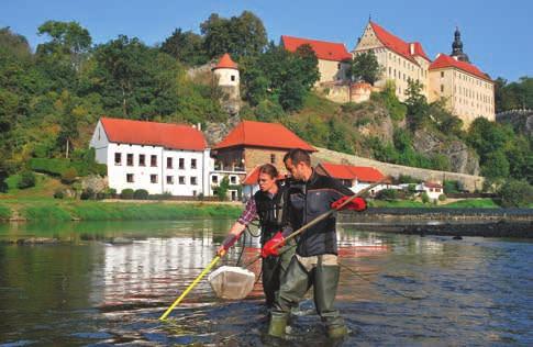 Zpráva o stavu vodního hospodářství České republiky v roce 2016 řepa, bob setý, sója, slunečnice a čirok; porosty ostatních obilnin a řepky olejné na takto označené ploše budou zakládány s využitím