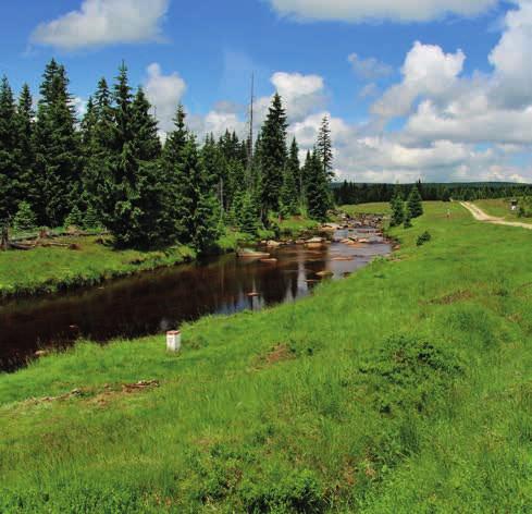 travních nebo jetelotravních směsí, b) mírně erozně ohrožená vodní erozí zajistí, že erozně nebezpečné plodiny kukuřice, brambory, řepa, bob setý, sója, slunečnice a čirok budou zakládány pouze s