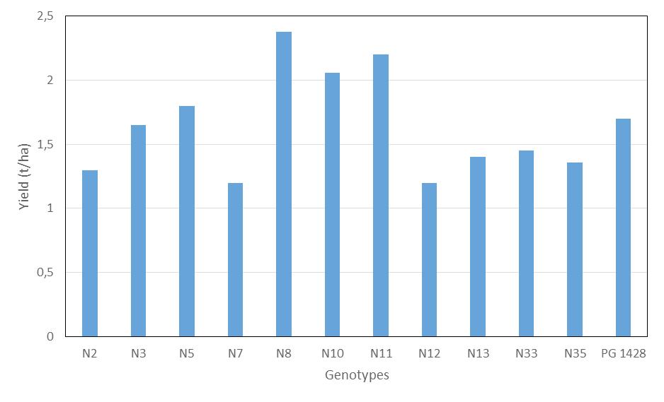 32 Průměrný výnos u perspektivních genotypů na nízké konstrukce (2011-2014) a) Průměrný výnos a obsah chmelových pryskyřic u perspektivních genotypů (2011-2014) Označení genotypu Alfa kys. (% hm.