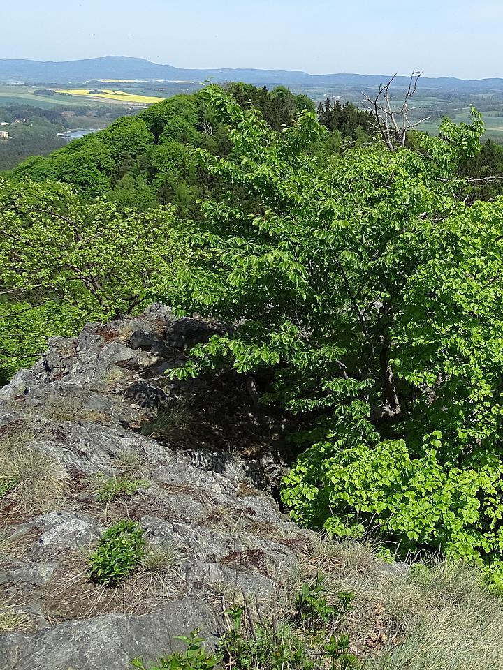 LOKALITY NA TRASE 1/ vrch Šibenice Skalní věž, která stojí na vrcholu Šibenice je tvořena výrazně načervenalým pískovcem. Jaký je původ této barvy?