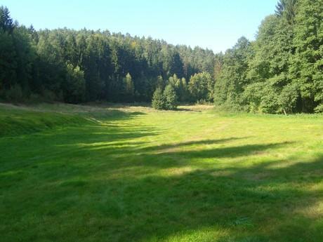 Mlýn stál prokazatelně již ve 2. polovině 18. stol., kdy je značen na tzv. josefských vojenských mapách. V roce 1843 malován v tehdejší katastrální mapě jako dřevěná stavba. Patřil k panství Svijany.