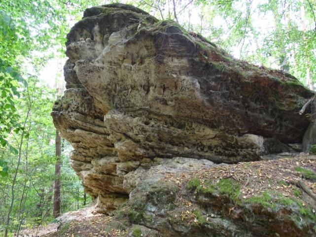 6/ Výhled z pískovcového výchozu (50 37'36'', 14 38'40'') Nenápadný pískovcový skalní výchoz ukrytý v nízkém borovém lese asi 100 metrů od značené cesty.