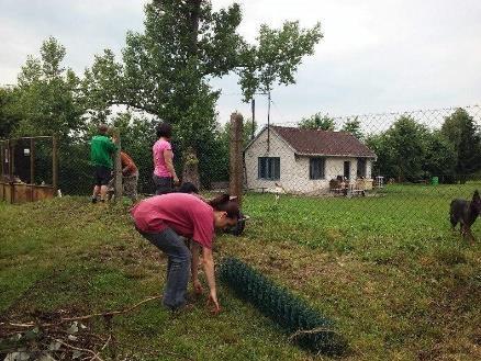 udržovat posekanou trávu, zakoupit a umístit nové odkládací kotce.