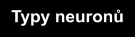 Typy neuronů unipolární