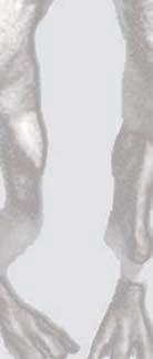 PREDATOR Atmosférická akce vás zavede do nepěkného konfliktu mezi člověkem, alieny (neboli vetřelci) a predátorem.