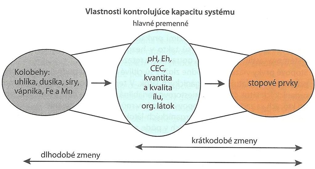 Faktory ovlivňující
