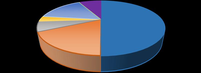 Iniciátoři žena muž oba příbuzní instituce dítě jiní celkem 537=50% 190=18% 65=6% 33=3% 165=15,5% 3=0,5% 79=7% 1072 Iniciátoři 65 33 165 190 3 79 537 žena muž oba příbuzní instituce dítě jiní údaje