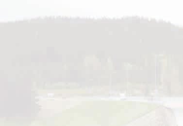 (ODOS) a při ochraně úseků státních hranic.