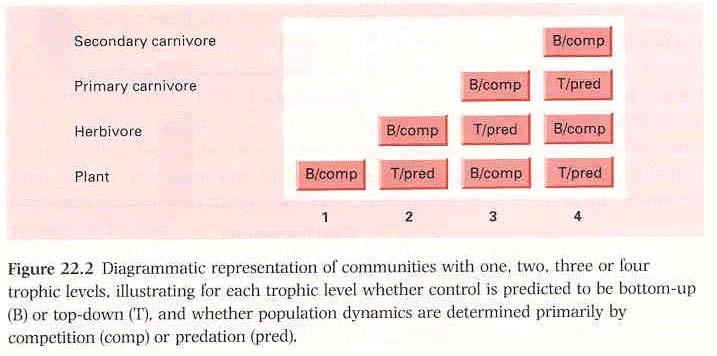 TOP-DOWN nebo BOTTOM-UP? Jedna trofická hladina (pouze producenti): Z definice chybí predátor, a proto determinovaná dostupností zdrojů - kompeticí.