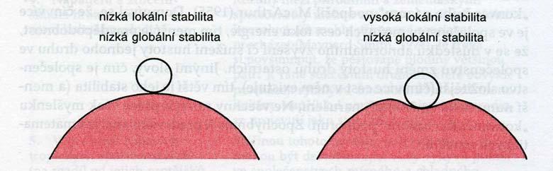 STABILITA SPOLEČENSTVA a potravní řetězce Stabilita má různé komponenty Pružnost (resilience( resilience) rychlost návrácení se do původního stavu.