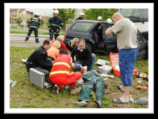 5 Občanská sdružení v IZS 0 0 0 0 0 1 1 Pohotovostní služba el.